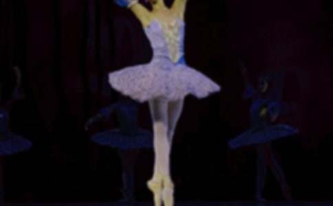 关于芭蕾舞踮脚的作文