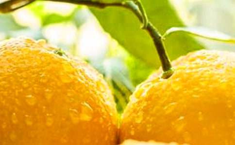 改善皮肤能吃橙子吗