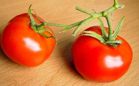 番茄籽油的功效与作用