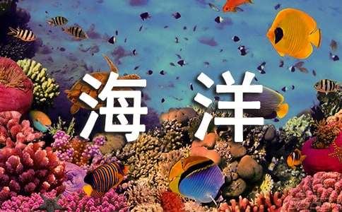 【热门】海洋作文300字合集8篇