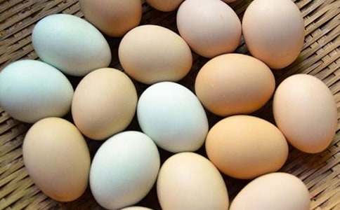 第一次煎鸡蛋作文(9篇)