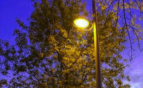 ͽͯµ42ƪ·The Old Street Lamp
