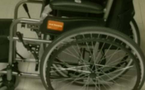 电动轮椅状物作文