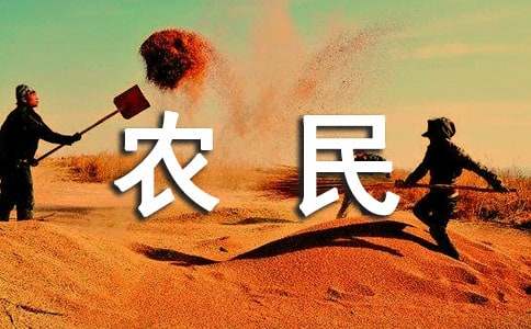 中国农民丰收节活动策划方案锦集【3篇】