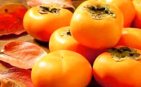 各种柿子的营养价值是什么