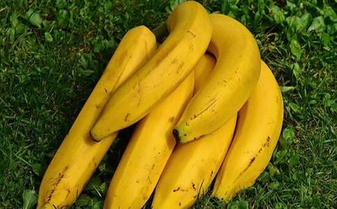 描写香蕉的作文