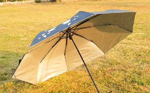 未来的雨伞