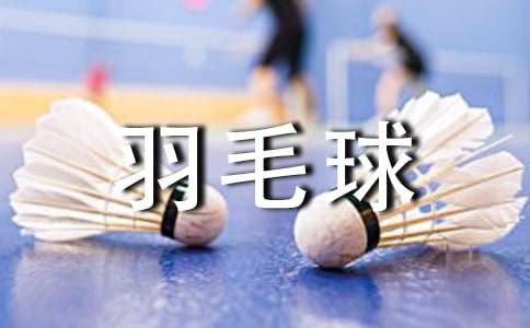 羽毛球比赛策划方案9篇(精华)