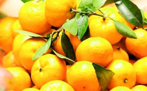 肠胃炎能不能吃橘子