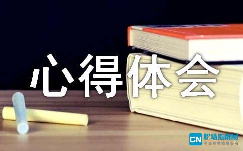 2016供电局安全生产反违章大反思大讨论心得体会