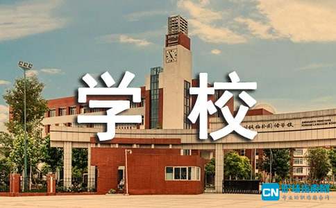 学校三公经费自查报告（最新）