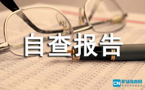 涉企收费自查报告防雷