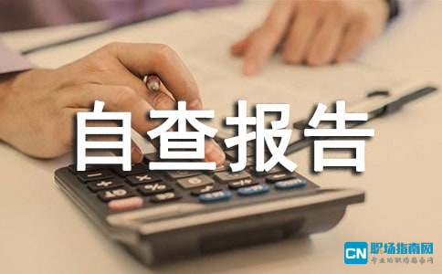 开展放管服改革落实情况自查报告