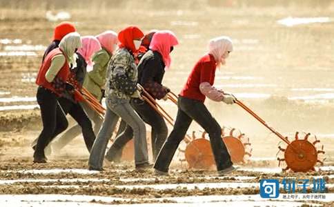 2021年给女人的妇女节祝福语30句