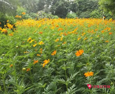 1689093145178.png 1689093145178.png