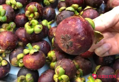 买山竹怎么挑选好坏的呀