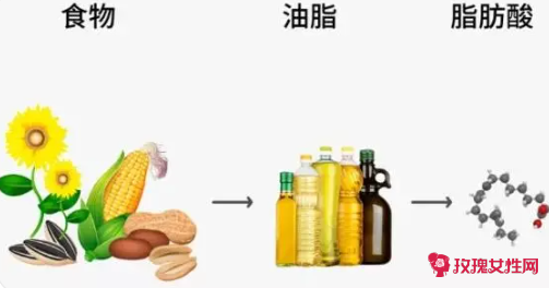 甘油脂肪酸酯是反式脂肪吗