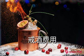 戒酒费用